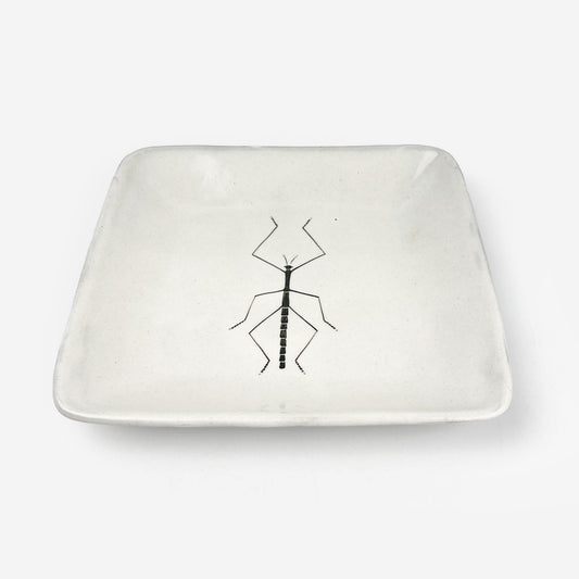 Sq. Plate Water Strider (6.5"D) by Takunobu Sawada