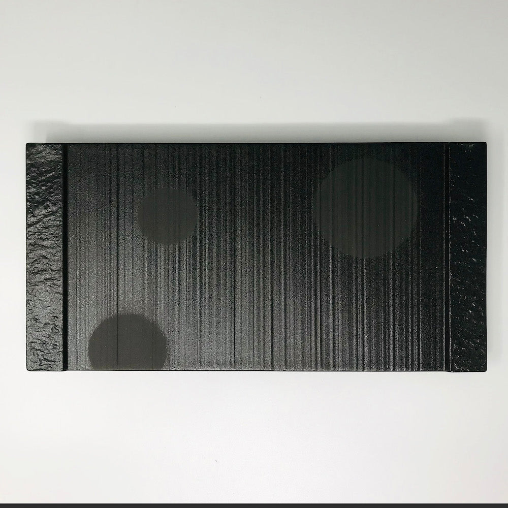 Rec. Plate Black Dot image 4