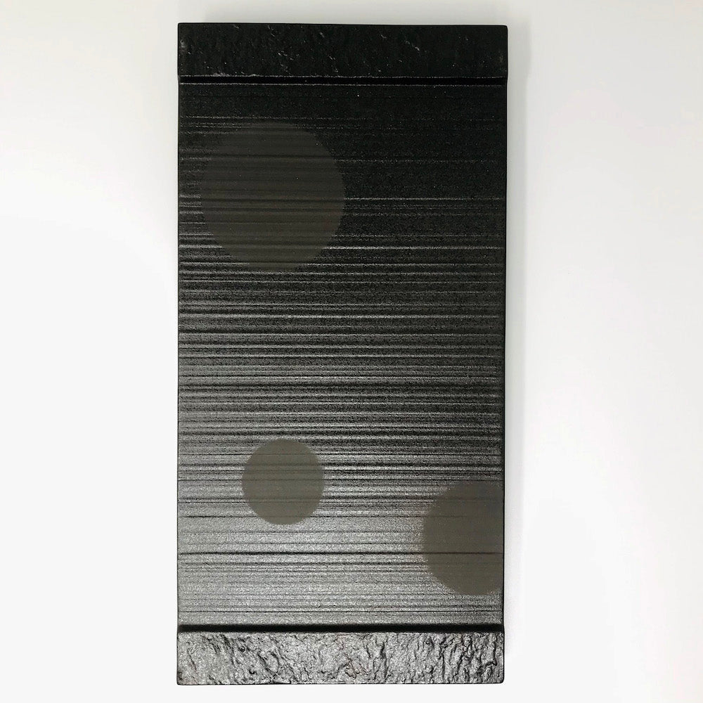 Rec. Plate Black Dot image 3