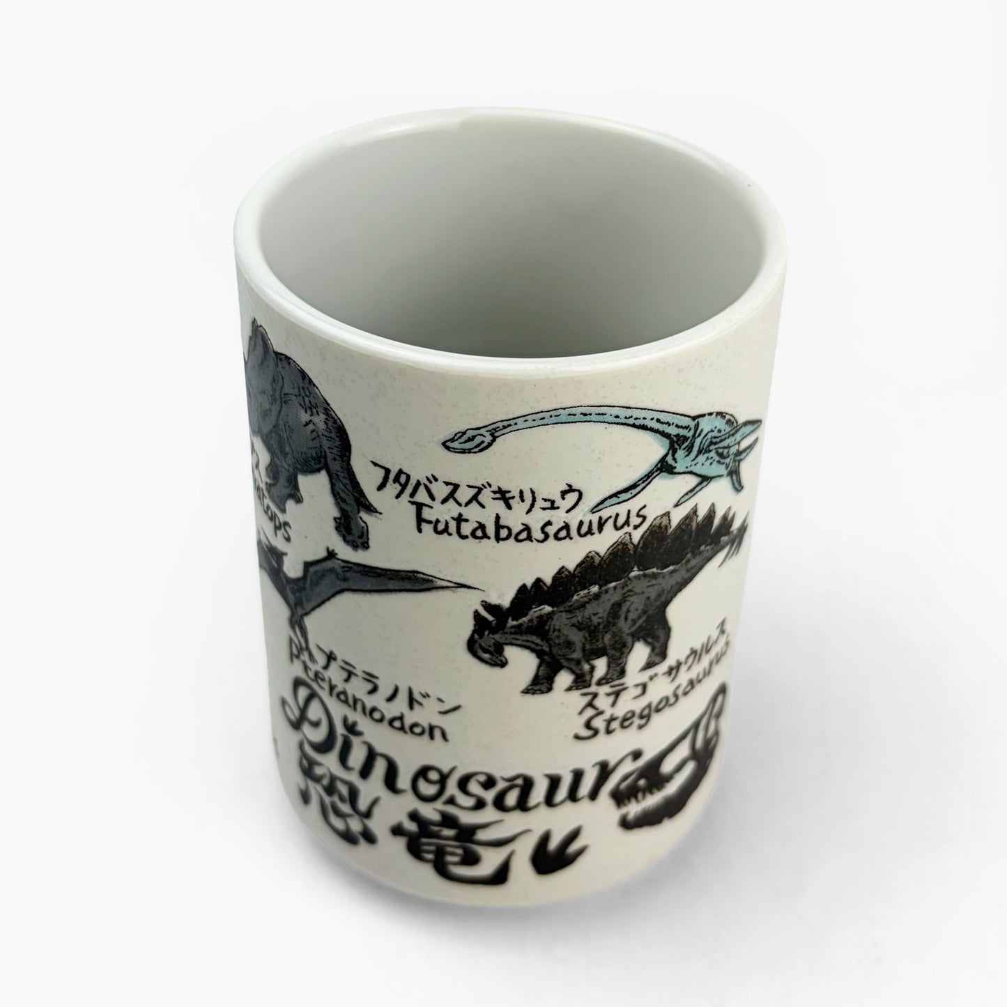 Yunomi Tea Cup Dinosaur (8oz)