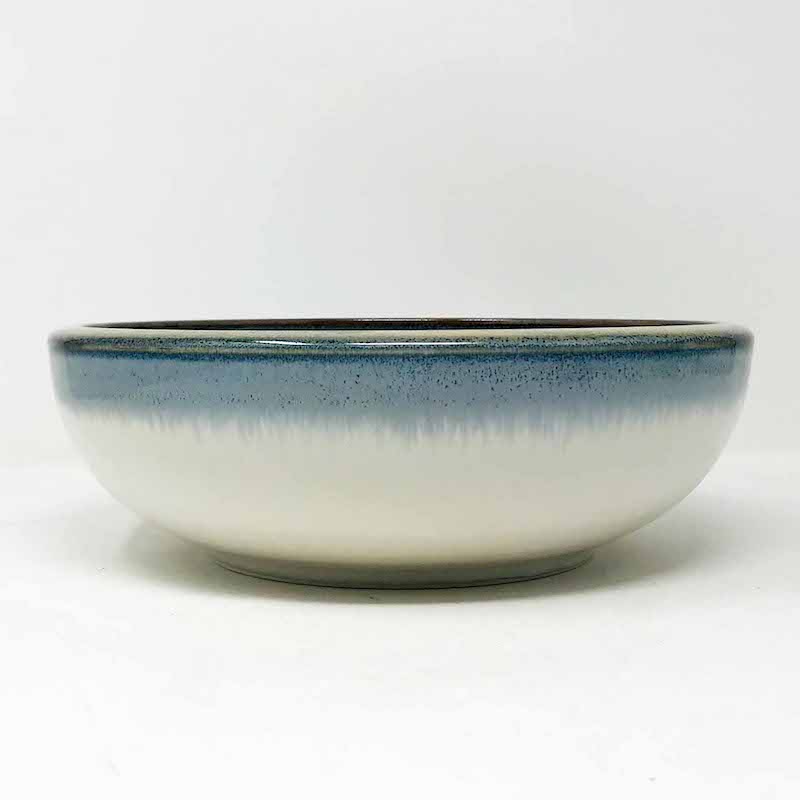 Aurora Shallow Bowl (9.25"D) image 1