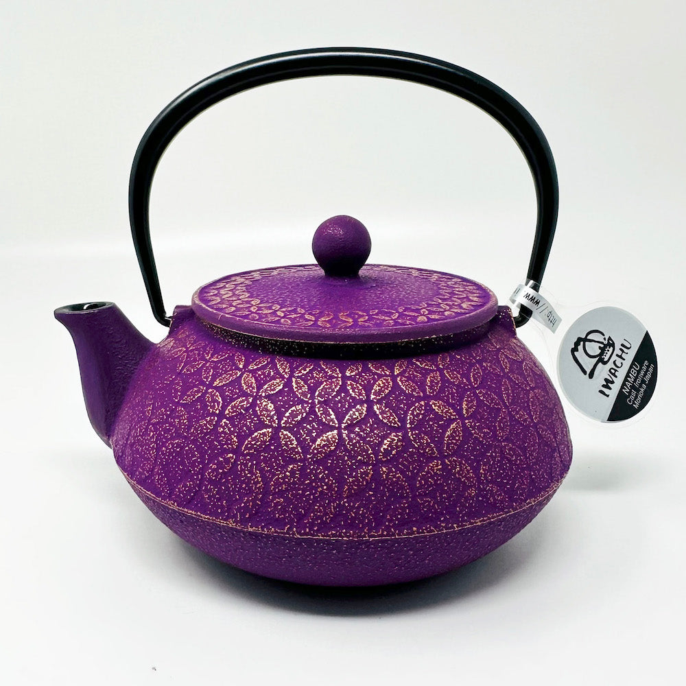 Iwachu Tetsubin Cast Iron Tea Pot (22 fl.oz ) image 0