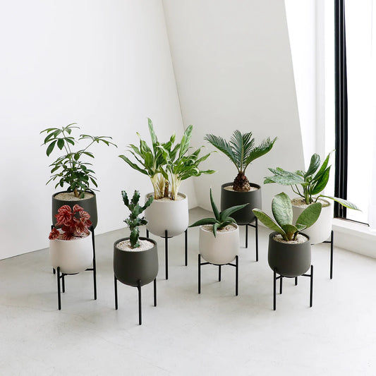 KINTO Plant Pot 135mm - Dark Gray image 1