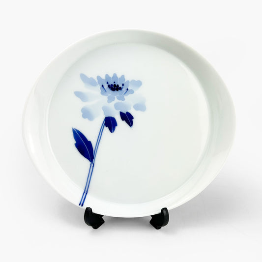 Oval Plate Anemone by Sin-gama (7.5"x6.75)