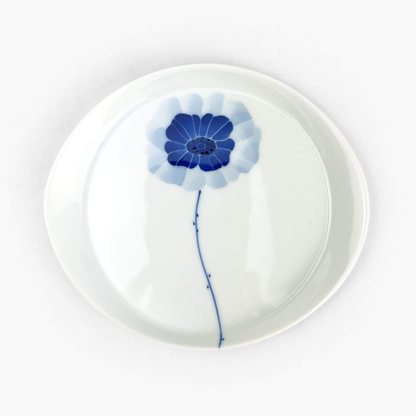 Oval Dish Anemone by Sin-gama (5.75"x5)