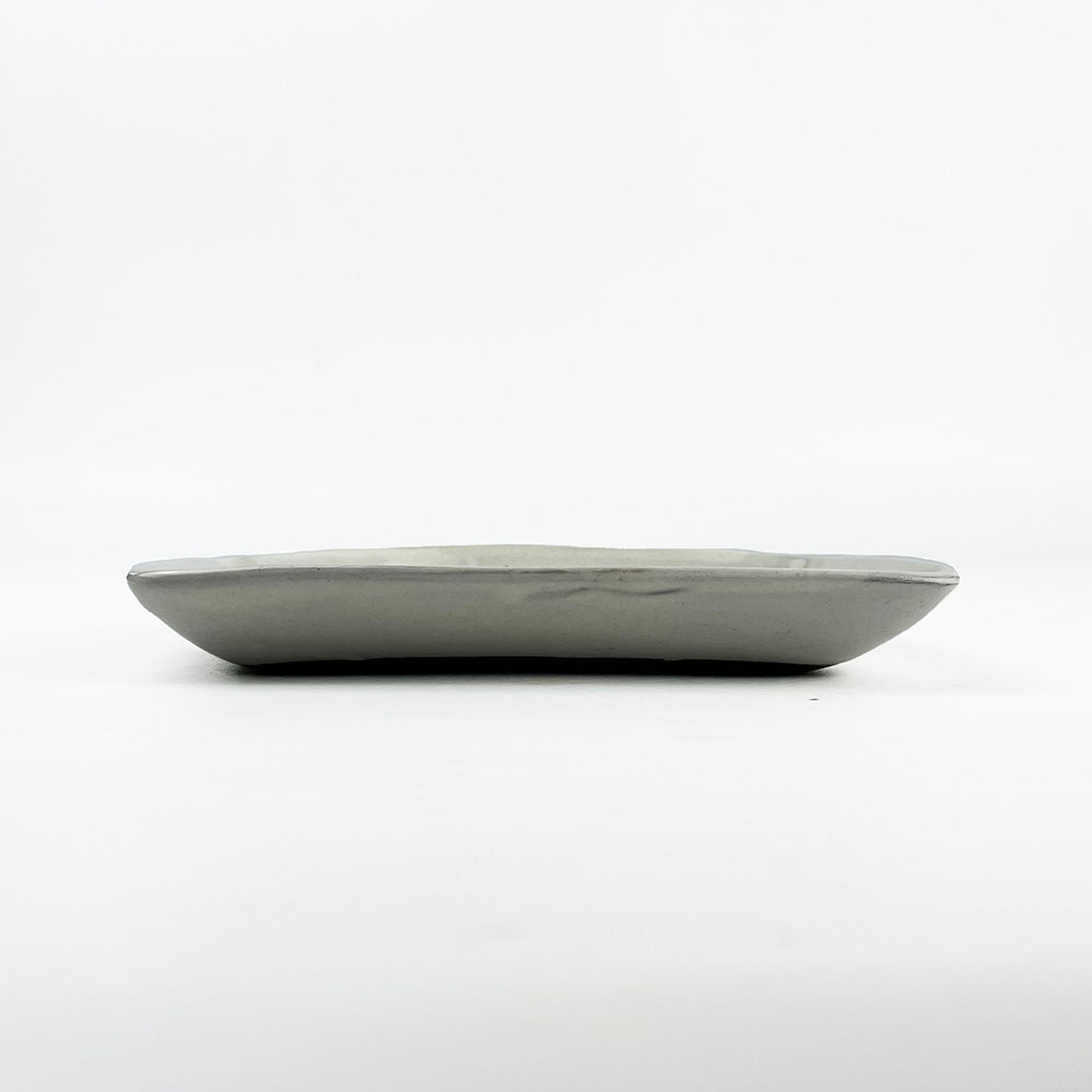 Rec.Plate Squid (6.5窶ｳx 5.25窶ｳ) by Takunobu Sawada