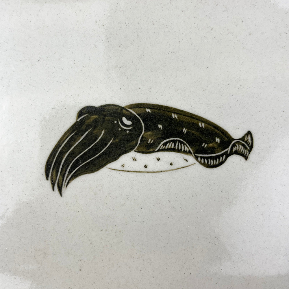 Rec.Plate Squid (6.5窶ｳx 5.25窶ｳ) by Takunobu Sawada