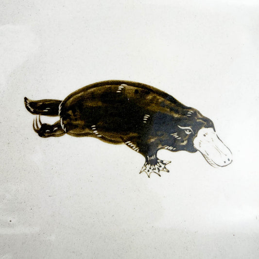 Rec. Plate Platypus (6.5"x 5.25") by Takunobu Sawada