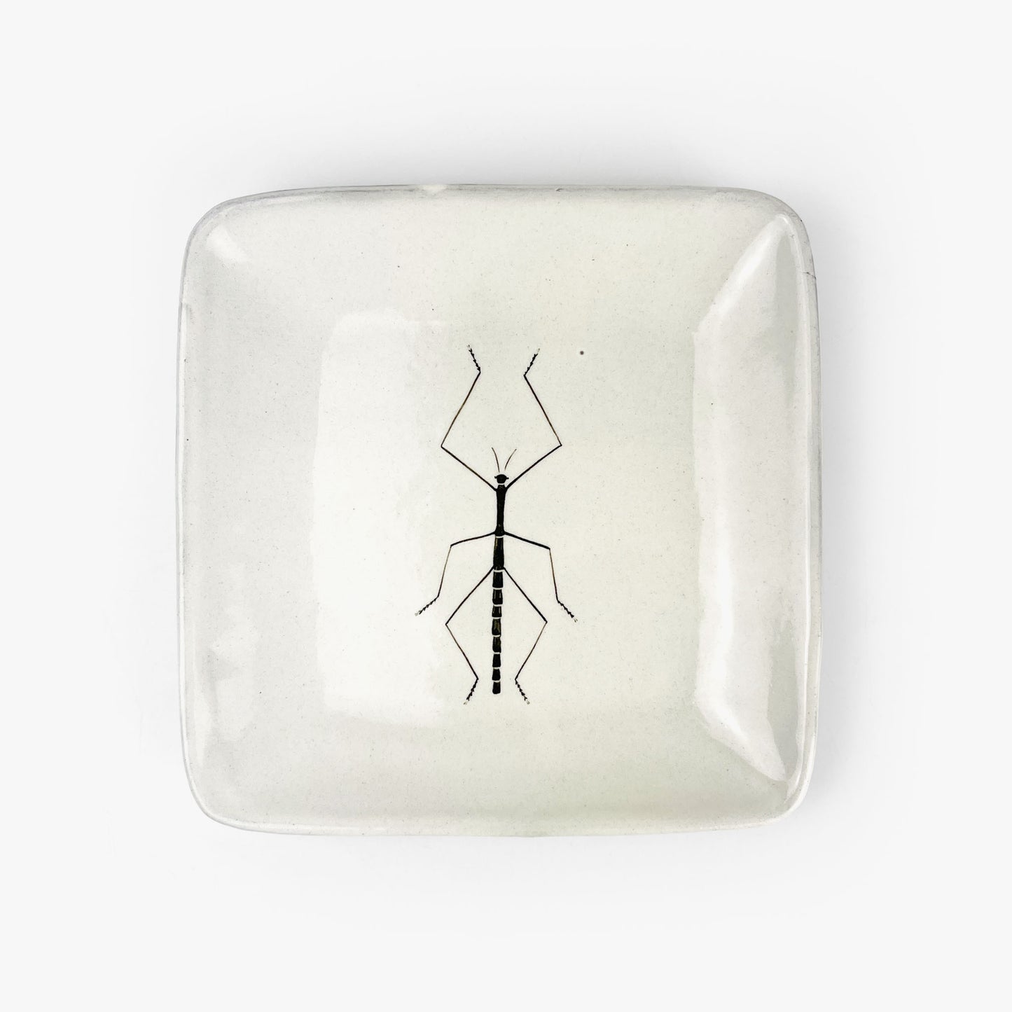 Sq. Plate Water Strider (6.5"D) by Takunobu Sawada