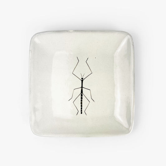 Sq. Plate Water Strider (6.5"D) by Takunobu Sawada