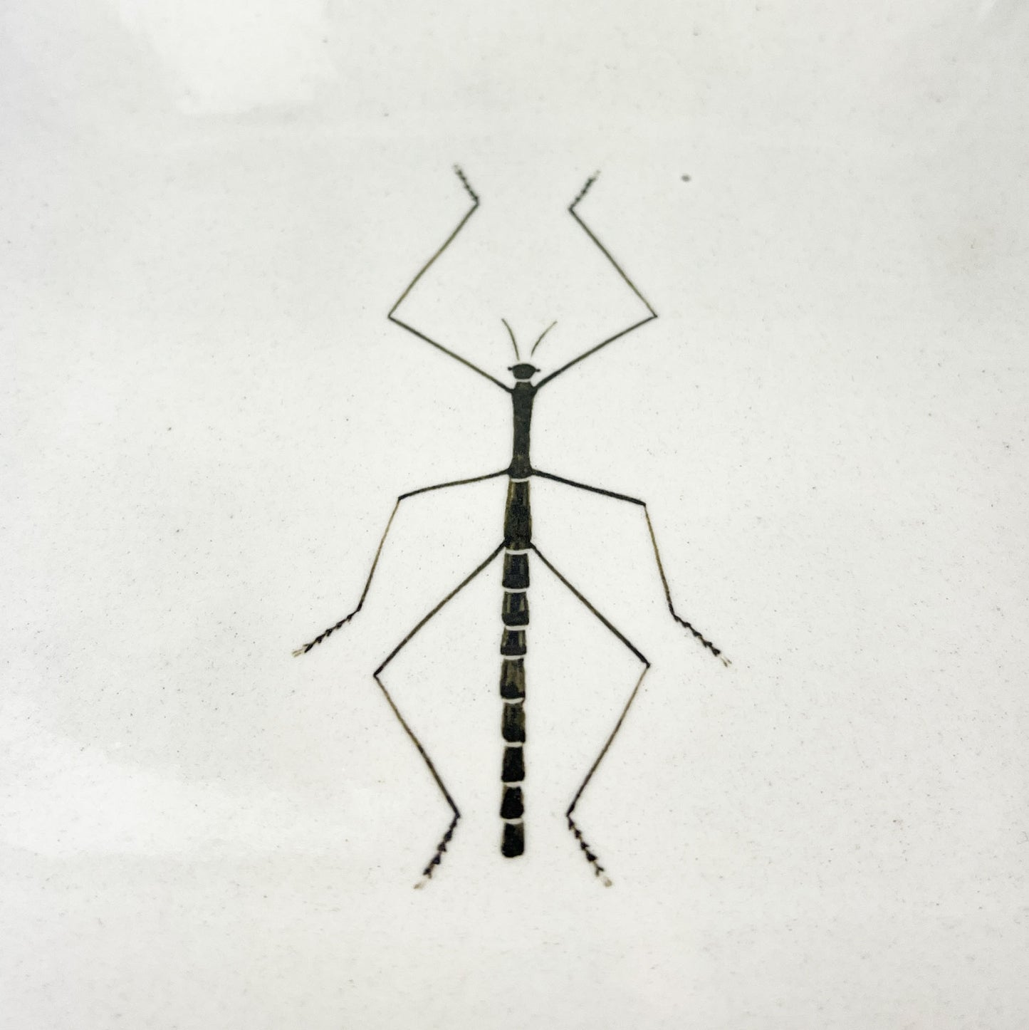 Sq. Plate Water Strider (6.5"D) by Takunobu Sawada