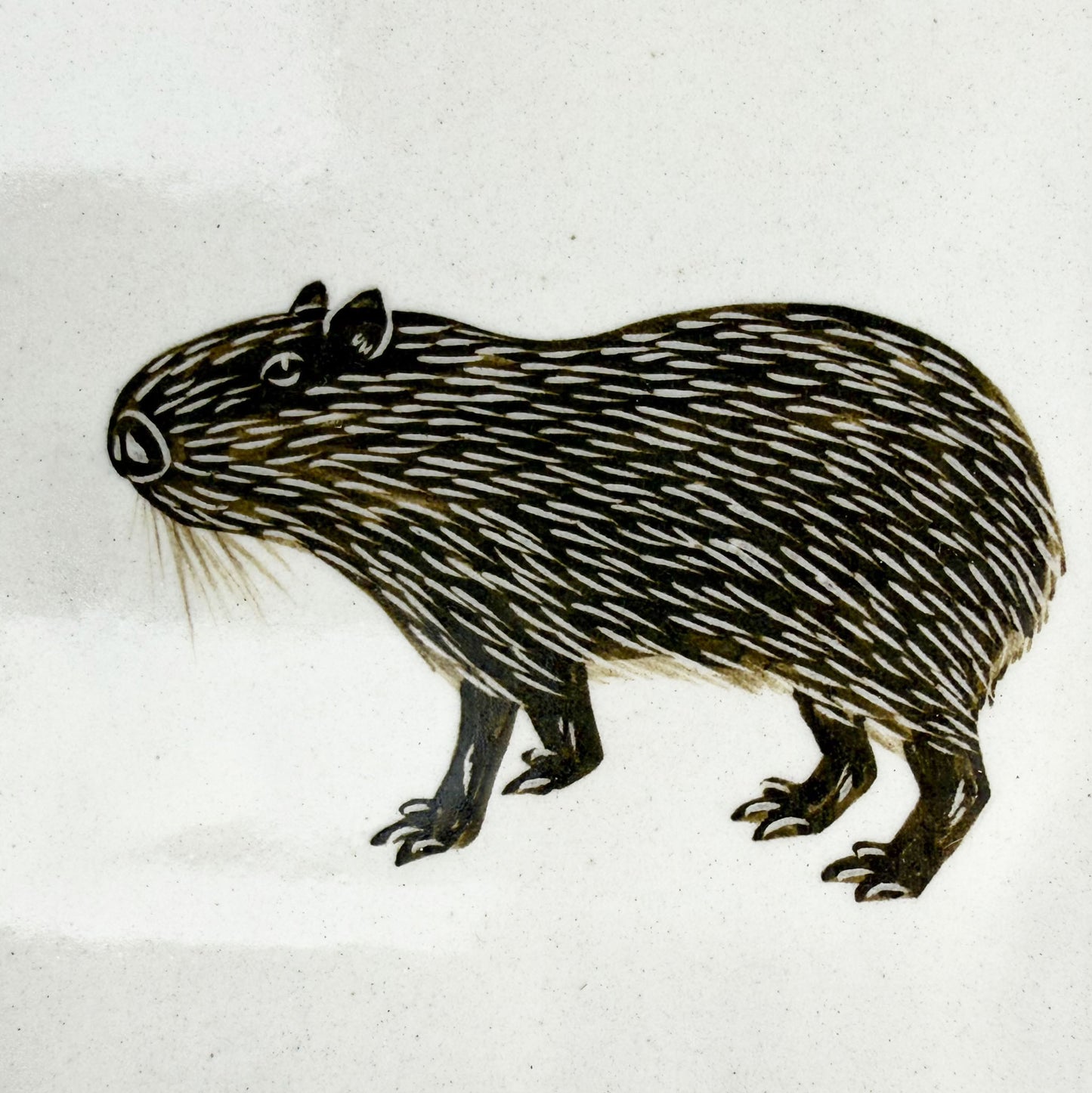 Sq. Plate Capybara (6.5"D) by Takunobu Sawada