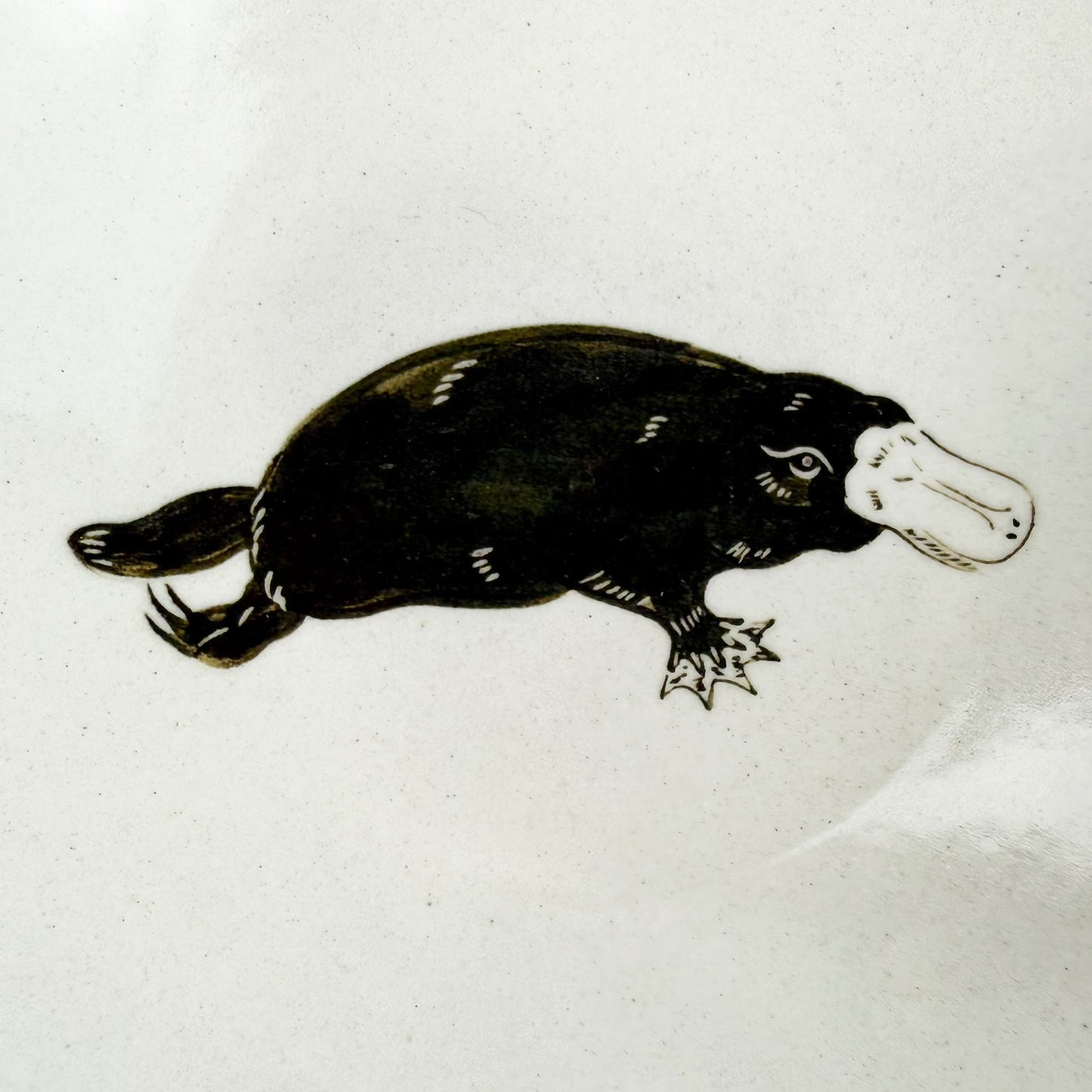 Round Plate Platypus (5.25"D) by Takunobu Sawada