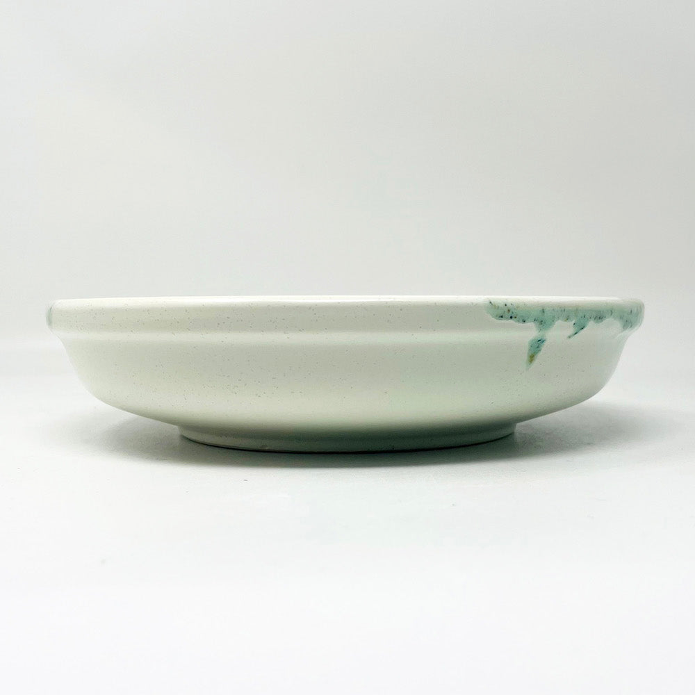 Deep Plate Hiwasuishyou (8.75"D) image 1