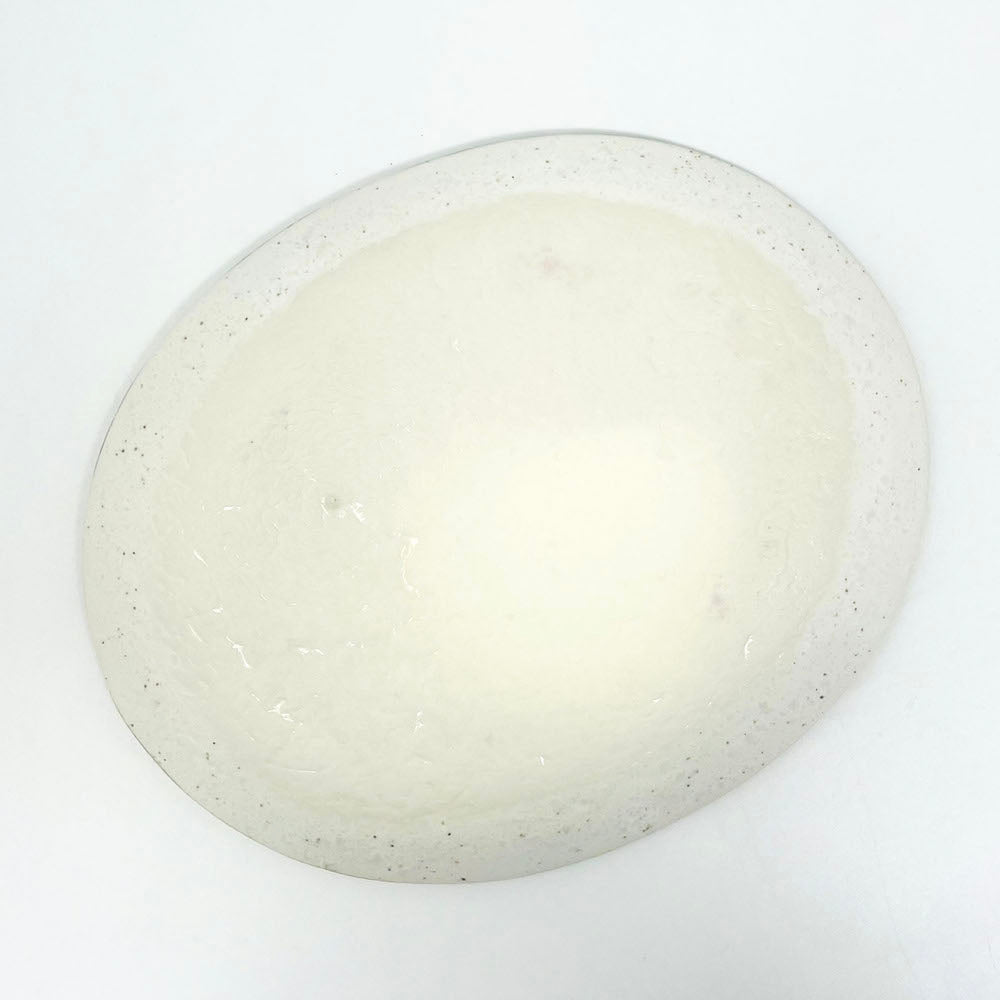 Oval Plate Shirokaratsu Small (7"x5.75") image 4