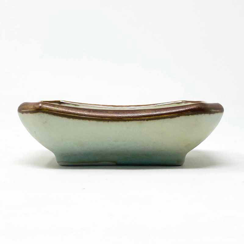 Soshun Sauce Dish 早春千代口 image 7