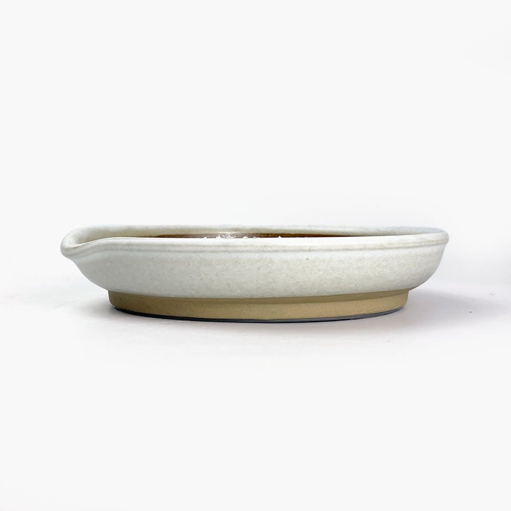 Grater White by Motoshige (6"D/Medium) image 4