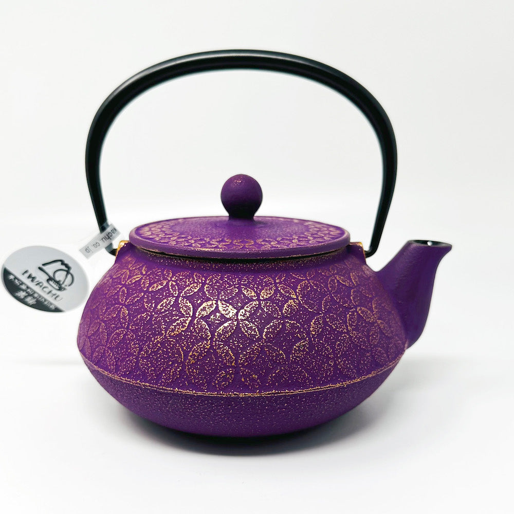 Iwachu Tetsubin Cast Iron Tea Pot (22 fl.oz ) image 5