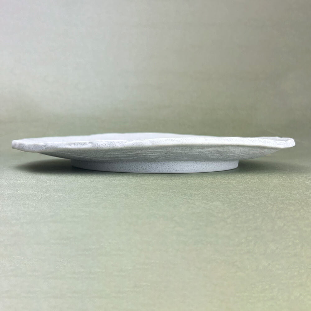 Plate (9.75"D) image 2