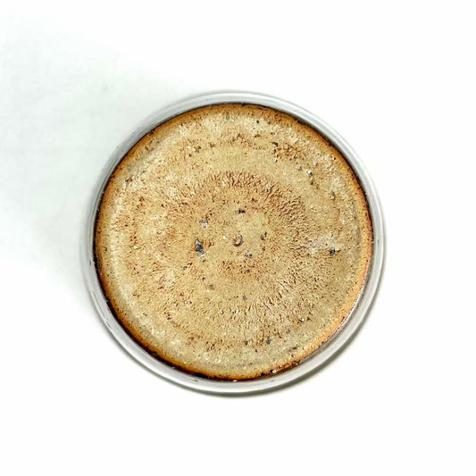 Cup (9 fl.oz) by Toshiro Aki image 1