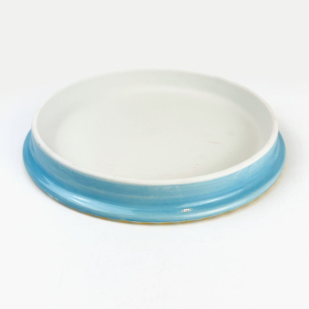 Plate Kodai Blue (6.5"D) image 2