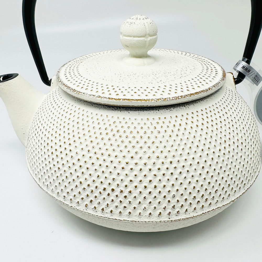 Iwachu Tetsubin Cast Iron Tea Pot (22 fl.oz ) image 3