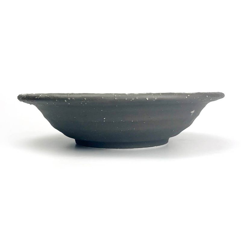 Bowl Fubuki Ishime (7.5"D)