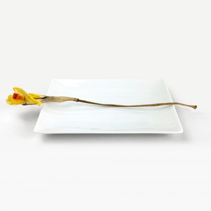 Rec. Plate Soso Blue/White (7.25"x5.25")