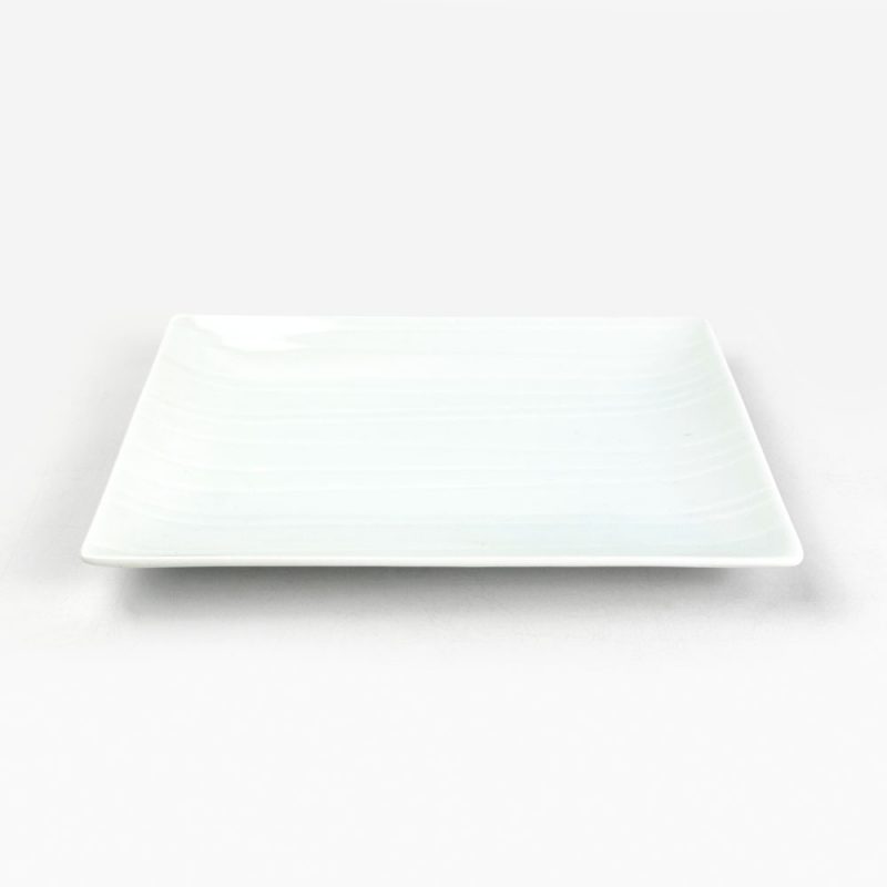 Rec. Plate Soso Blue/White (7.25"x5.25")